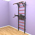 Шведская стенка "LittleSport" Pull-Up 2.0 (черный*красный) - тех. характеристики Шведская стенка "LittleSport" Pull-Up 2.0 (черный*красный)