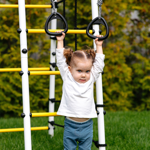 Детский спортивный комплекс для дачи ROMANA Богатырь MAX Плюс-2